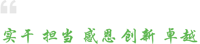 卓越 创新 感恩 担当 实干 