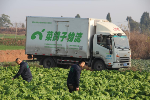 1698391497196 1698391497196